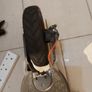 Electric Scooter, no charger, not tested, being sold for parts or repair Image 10