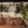 terarium Image 2