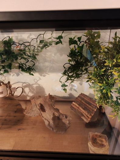 terarium