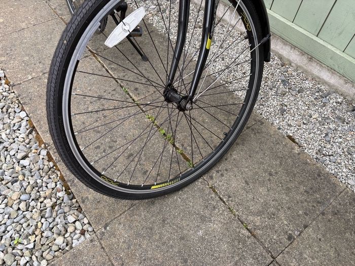Ambleside bike, Ignite model