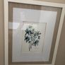 Paul Costello wild flower Pictures Image 5