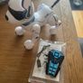 remote control dog Image 2