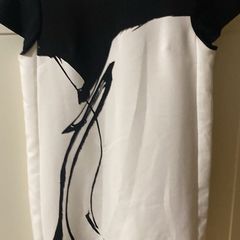 ladies dress