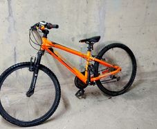 Team MX24 Mountain Bike
