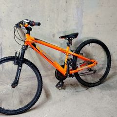 Team MX24 Mountain Bike
