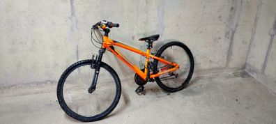 Team MX24 Mountain Bike