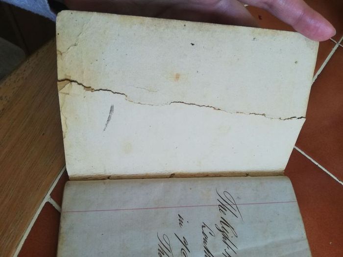 antique ledger 1873