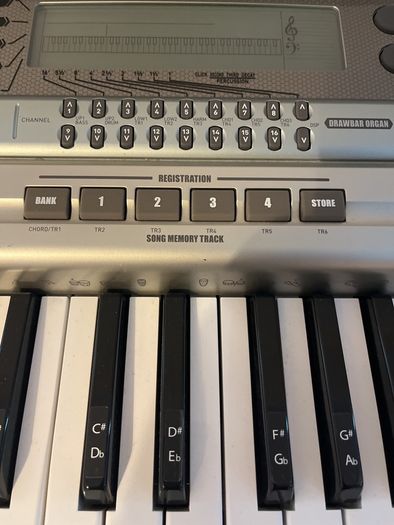 Casio WK-3300 Keyboard with adjustable stand.
