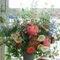 ioana.baciu.39