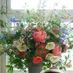 ioana.baciu.39
