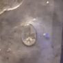 two antique collectable pewter Item's, Note possibly the oldest item online Image 6