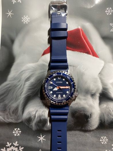 Citizen Promaster Professional Diver Automatic Watch With Navy Rubber Strap Brand New