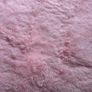 Rug Brand New Image 5