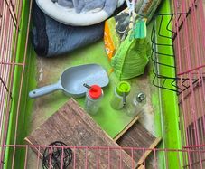 Guinea pig cage