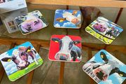 Tipperary Crystal Eoin O Connor Set Of 6 Cow Coasters