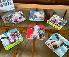 Tipperary Crystal Eoin O Connor Set Of 6 Cow Coasters