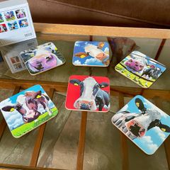 Tipperary Crystal Eoin O Connor Set Of 6 Cow Coasters