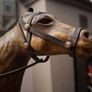Liberty style Horse Image 8