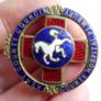 Vintage Pembury Hospital Enamel Badge White Horse of Kent Image 7