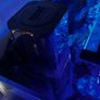 Marine aquarium set up 250L Image 9