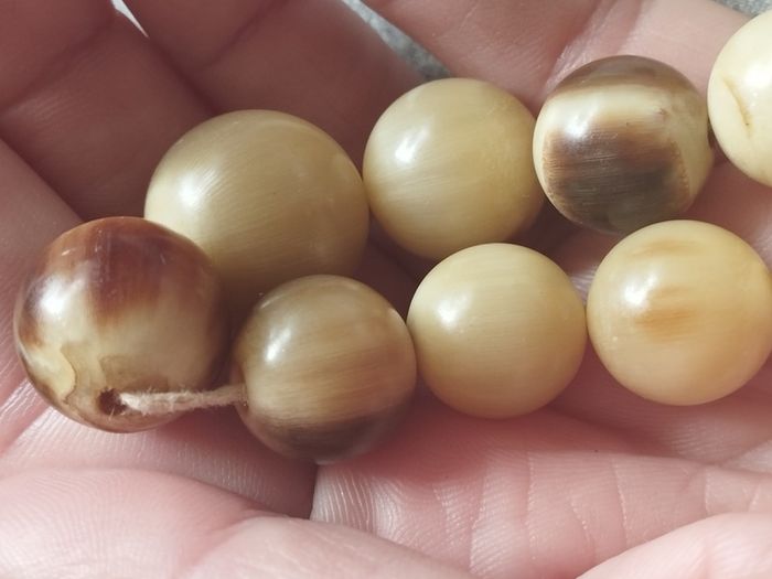 Vintage natural horn beads.