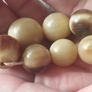 Vintage natural horn beads. Image 6