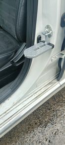 Step for car door