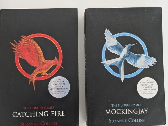 Hunger Games Books - Teen/Young Adult