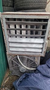fan