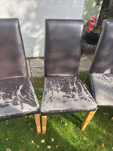 Kitchen chairs