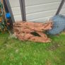 Fish Tank Drift Wood Image 8