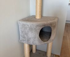 Cat house
