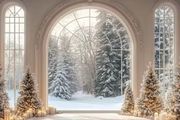 Christmas photo backdrop