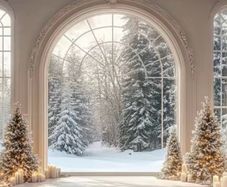 Christmas photo backdrop