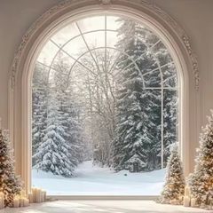 Christmas photo backdrop