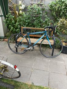 trek road bike