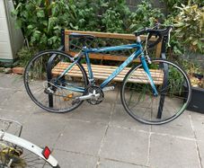 trek road bike
