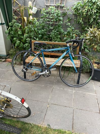 trek road bike