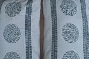 cushions x 2
