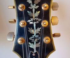 Vintage Gibson Epiphone Sheraton II