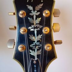 Vintage Gibson Epiphone Sheraton II