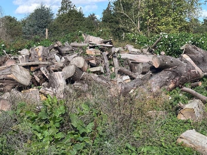 Dry Logs for sale.
