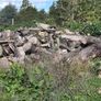 Dry Logs for sale. Image 3