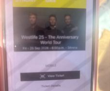 Westlife Standing ticket Friday night