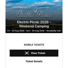 x1 Electric Picnic Ticket for Sale