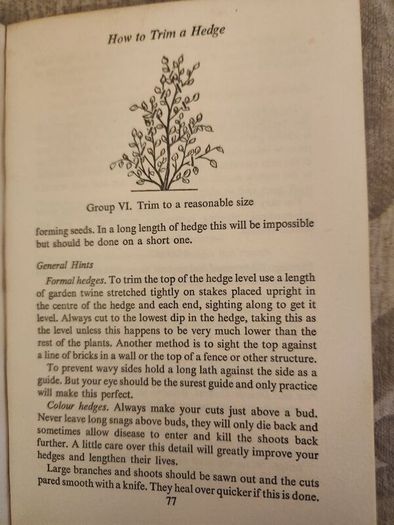 Colour Hedges. By J.l. Beddal.n.d.h. Published By The Gardening  Book Club London. First Editions  1953. Hardback In Good Condition. 36.