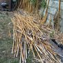 bamboo sticks FREE Image 3