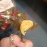 20 mixed coloured miniature roses Image 2