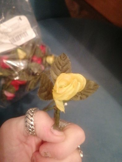 20 mixed coloured miniature roses