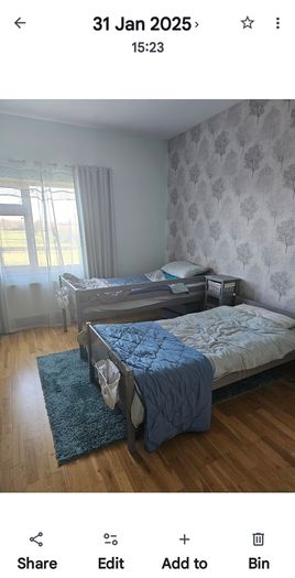 bunkbed